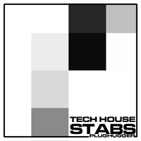 Tech House Stabs