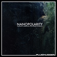 Nanopolarity