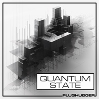 Quantum State